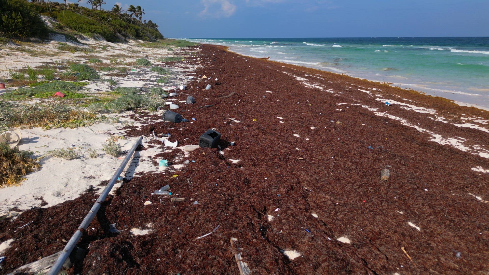 Plastic Waste Littered on a Beach Caused by Dumping of Plastics in the Ocean