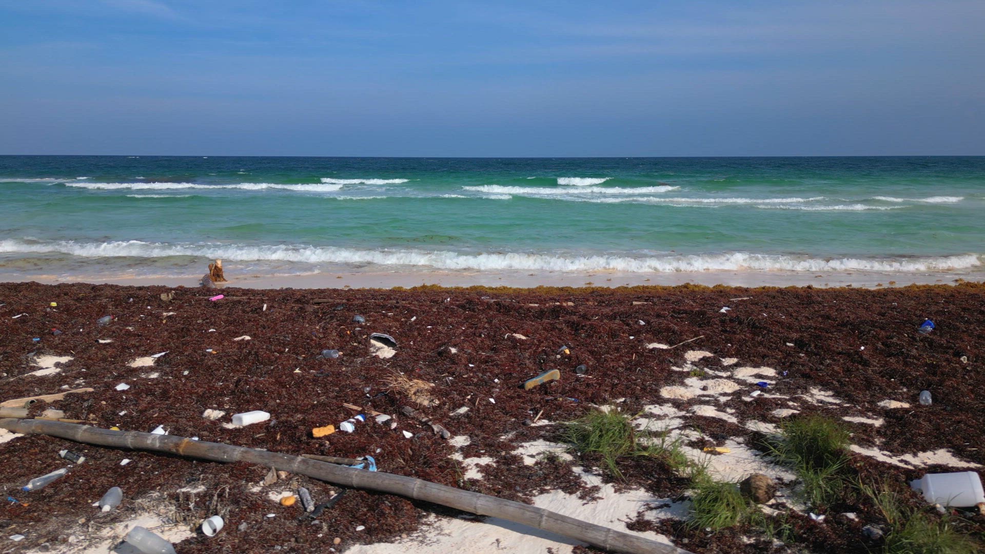 Plastic Covered Beach Caused By Illegal Dumping of Waste in the Ocean