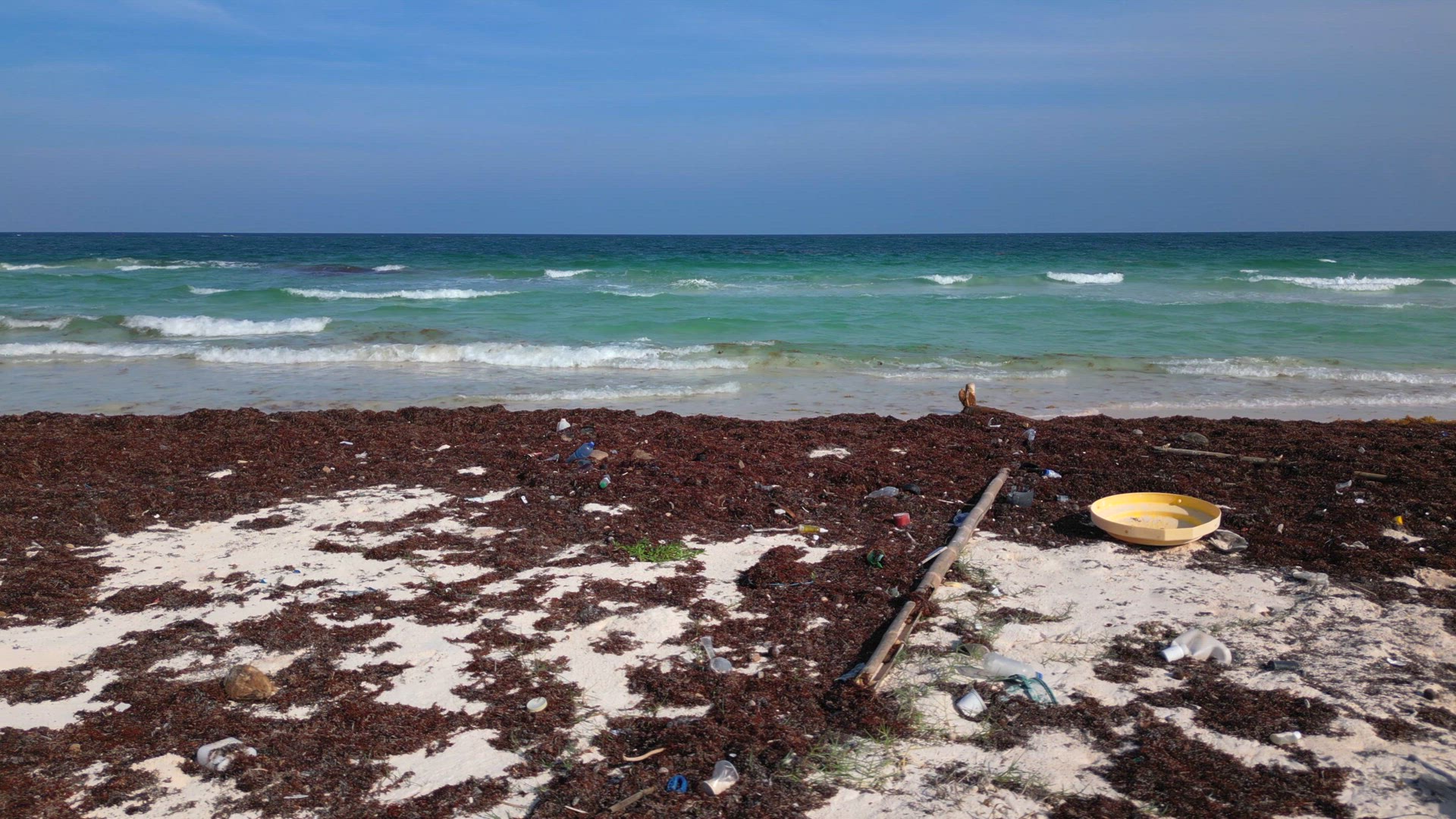 A Beach Littered with Plastic and Waste Caused by the Pollution Crisis