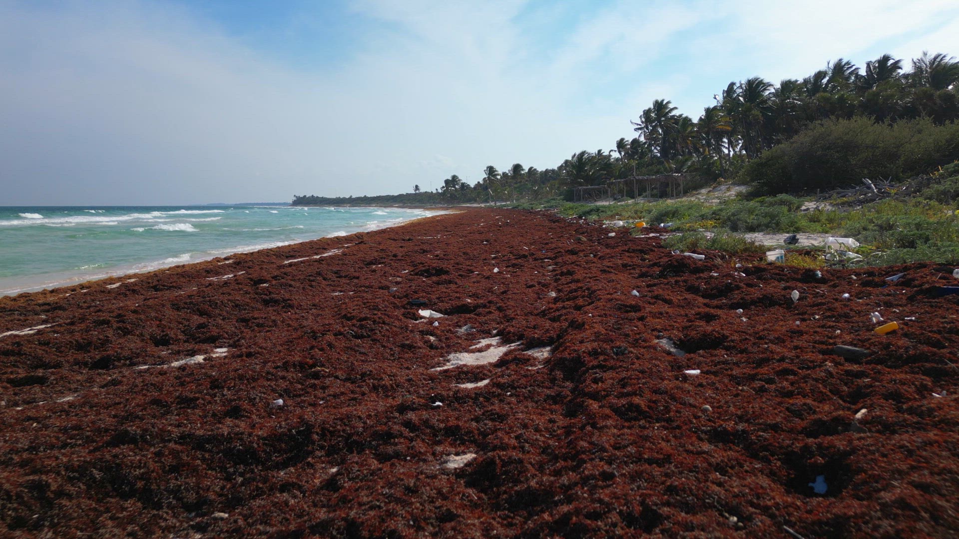 A Beach Littered with Plastic and Waste Caused by the Pollution Crisis