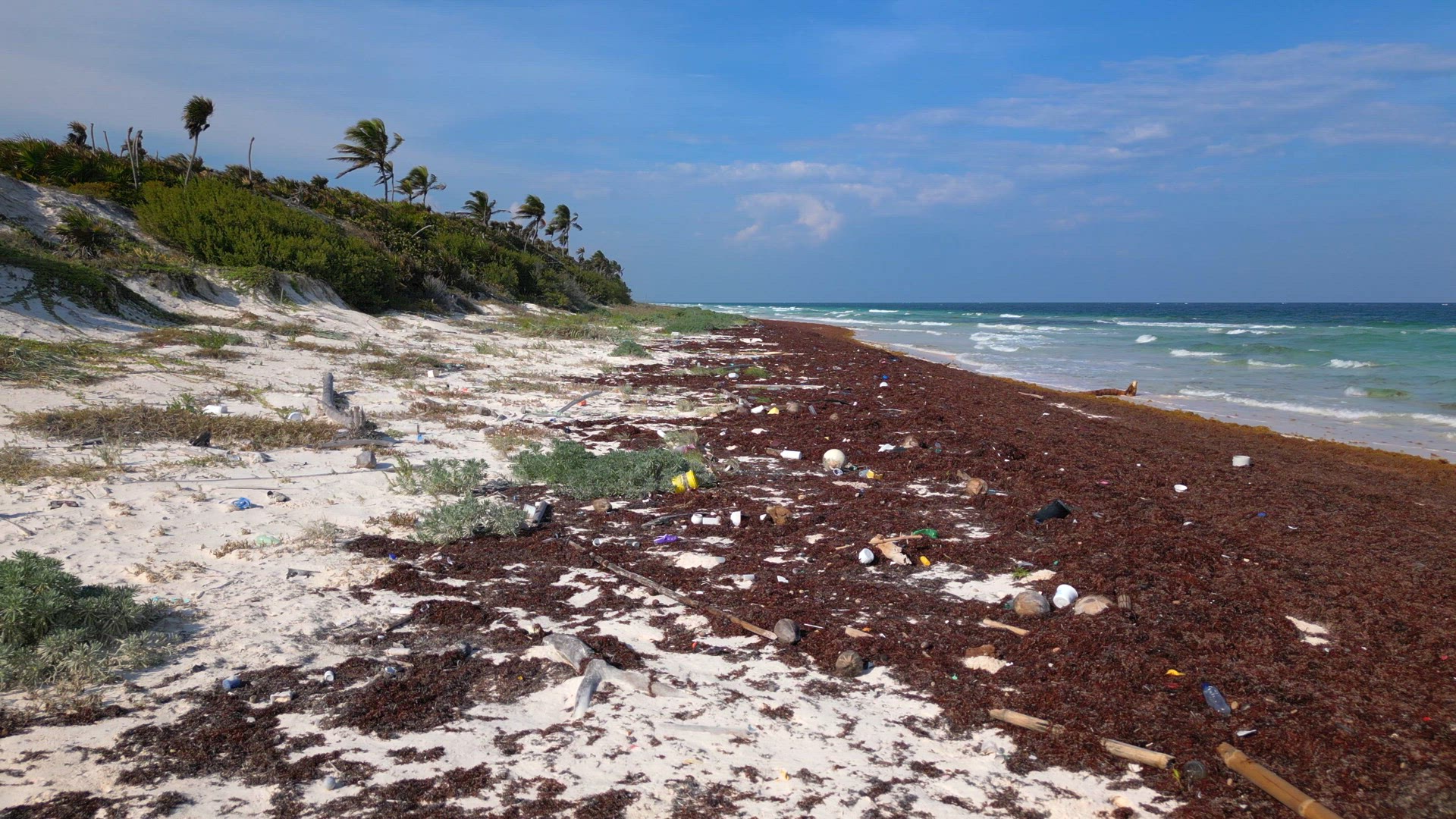 Plastic Covered Beach Caused By Illegal Dumping of Waste in the Ocean