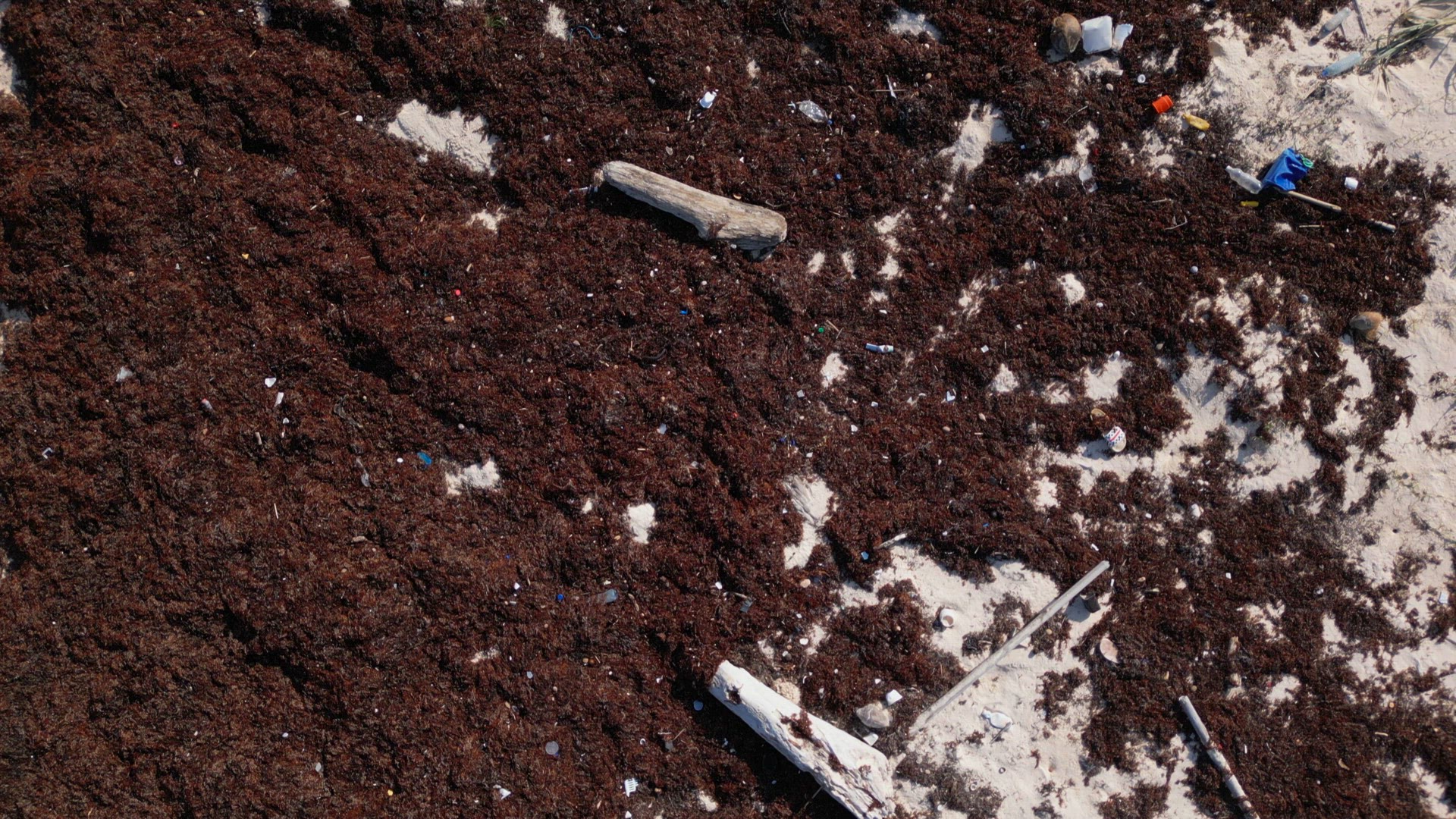 Plastic Waste Littered on a Beach Caused by Dumping of Plastics in the Ocean