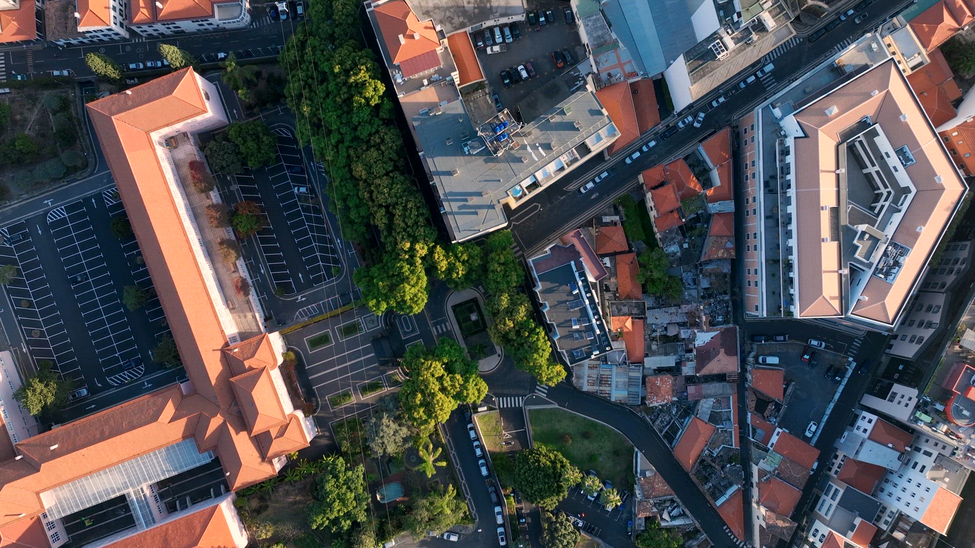 Funchal City in Madeira Streets and Rooftops Bird's Eye View