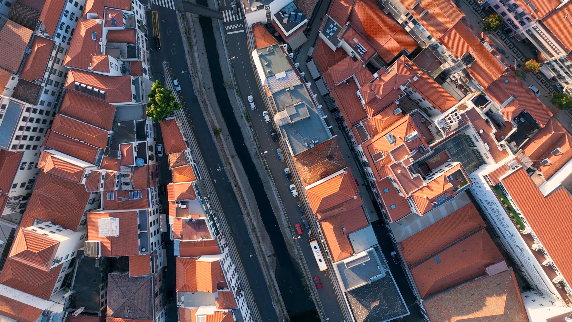 Funchal City in Madeira Streets and Rooftops Bird's Eye View