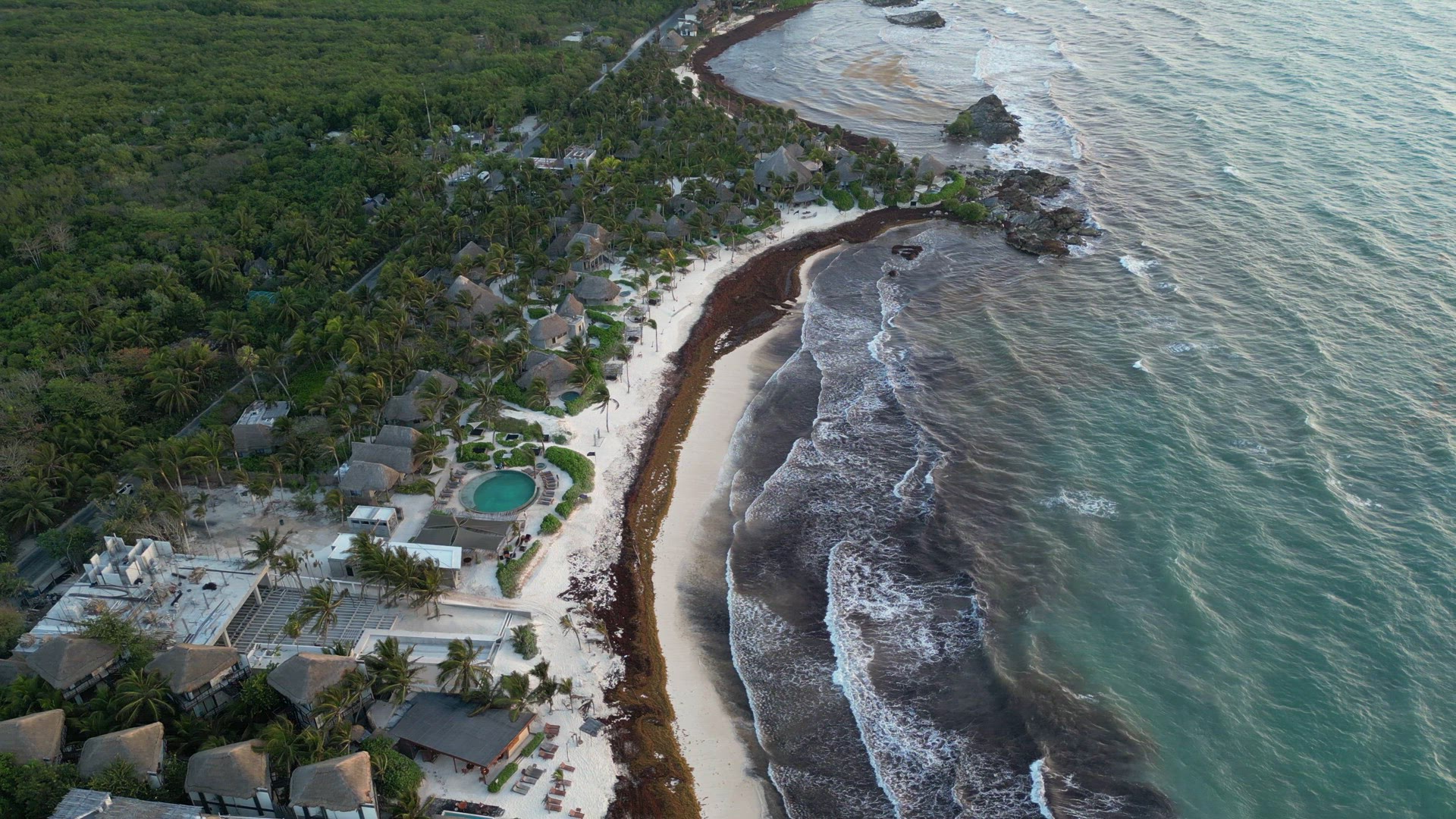 Sargassum Seaweed Known as Gulfweed Covers Beautiful Beaches Aerial View