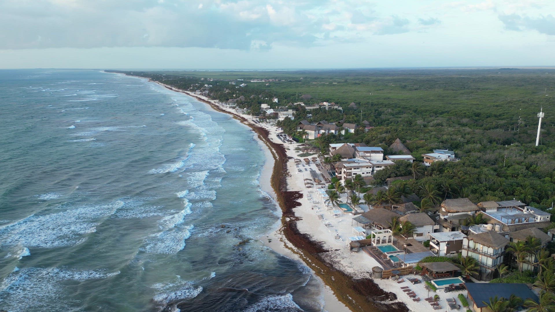 Sargassum Seaweed Crisis with Beaches in Mexico Battling Gulfweed Invasion