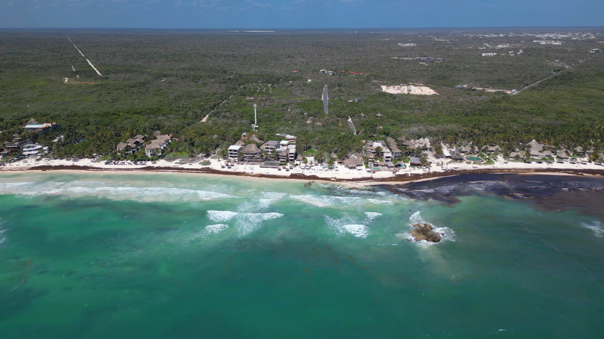 Sargassum Seaweed Crisis with Beaches in Mexico Battling Gulfweed Invasion