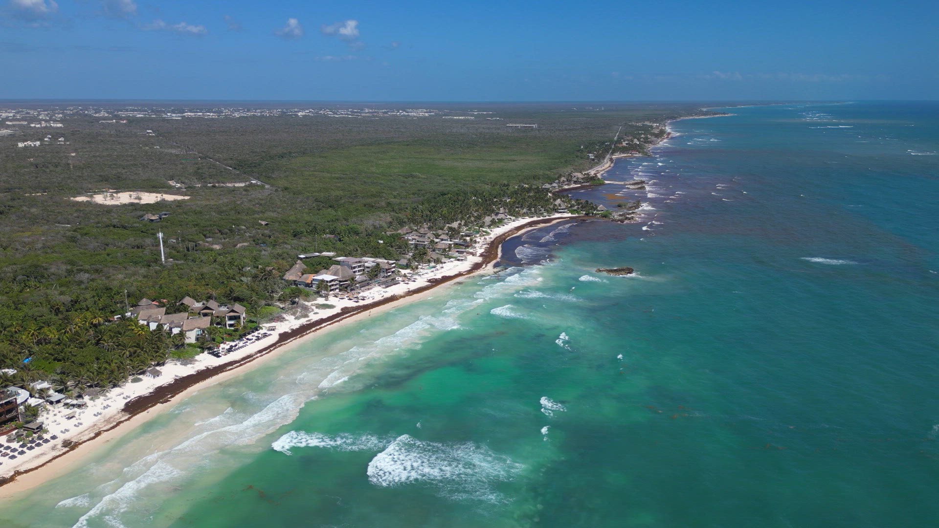 Mexican Beach Resorts Tackling Sargassum Gulfweed on the Beaches