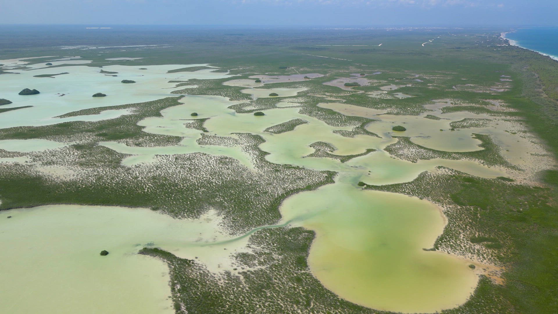 The Mangroves of Tulum National Park Aerial View
