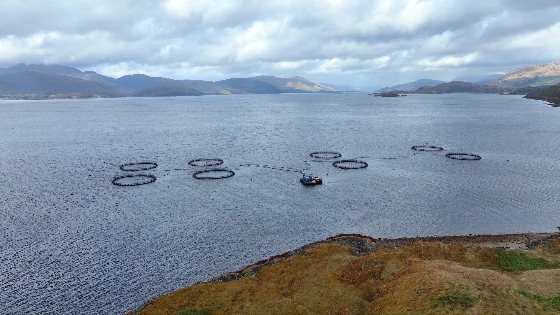 Sea Farm Aquaculture Nets Used for Intensive Fish Farming