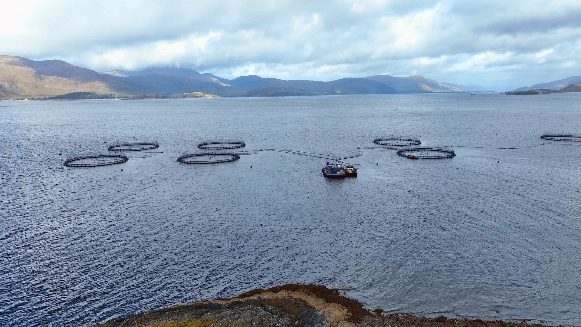 Sea Farm Aquaculture Nets Used for Intensive Fish Farming