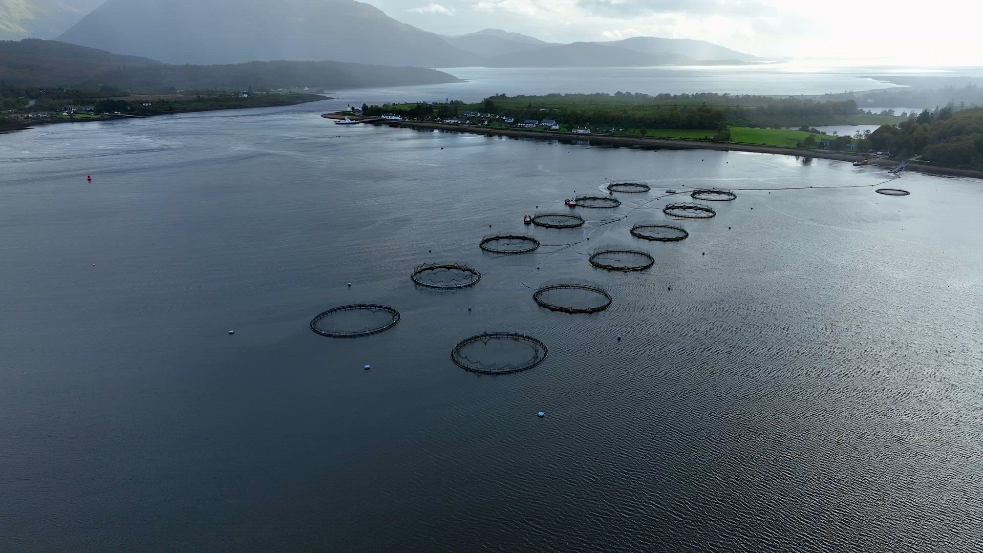 Sea Farm Aquaculture Nets Used for Intensive Fish Farming