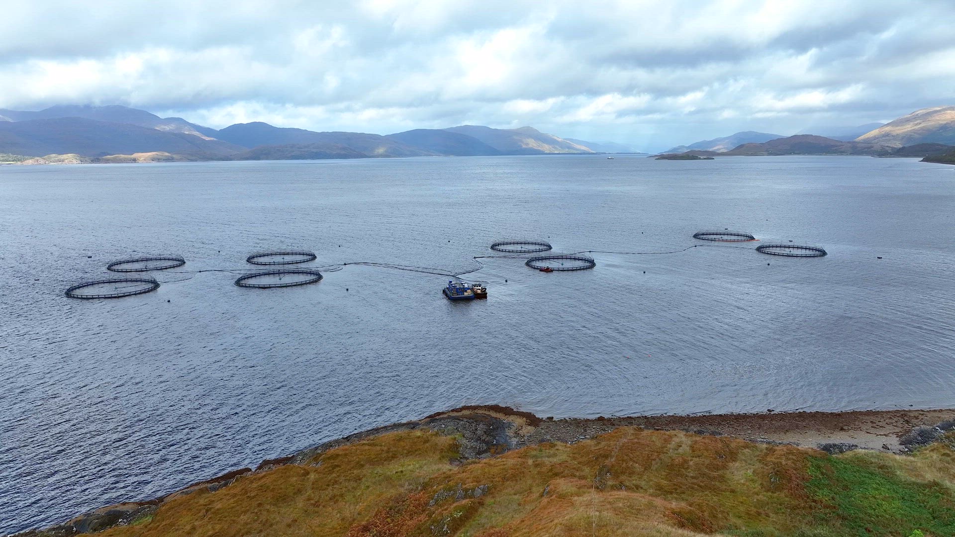 Sea Farm Aquaculture Nets Used for Intensive Fish Farming