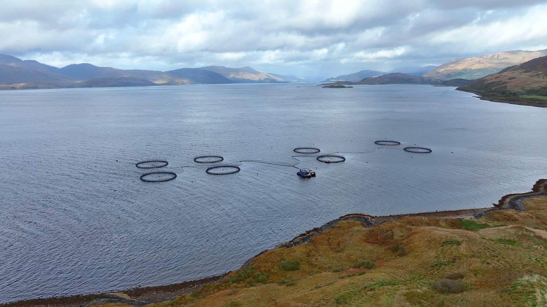 Aquaculture Fish Farm Used to Intensively Grow Food for the Market