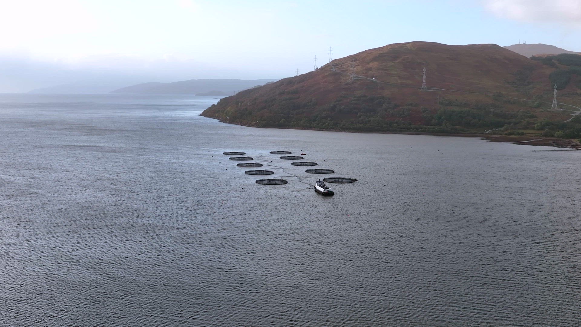 Aquaculture Fish Farm Used to Intensively Grow Food for the Market