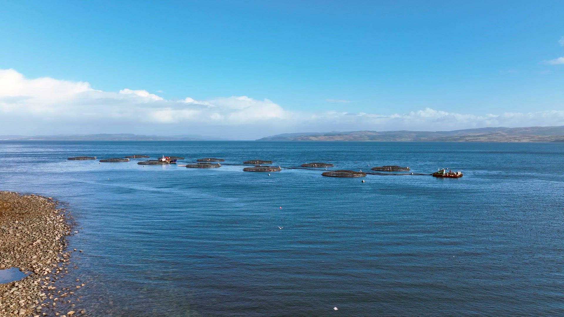 Aquaculture Fish Farm Used to Intensively Grow Food for the Market