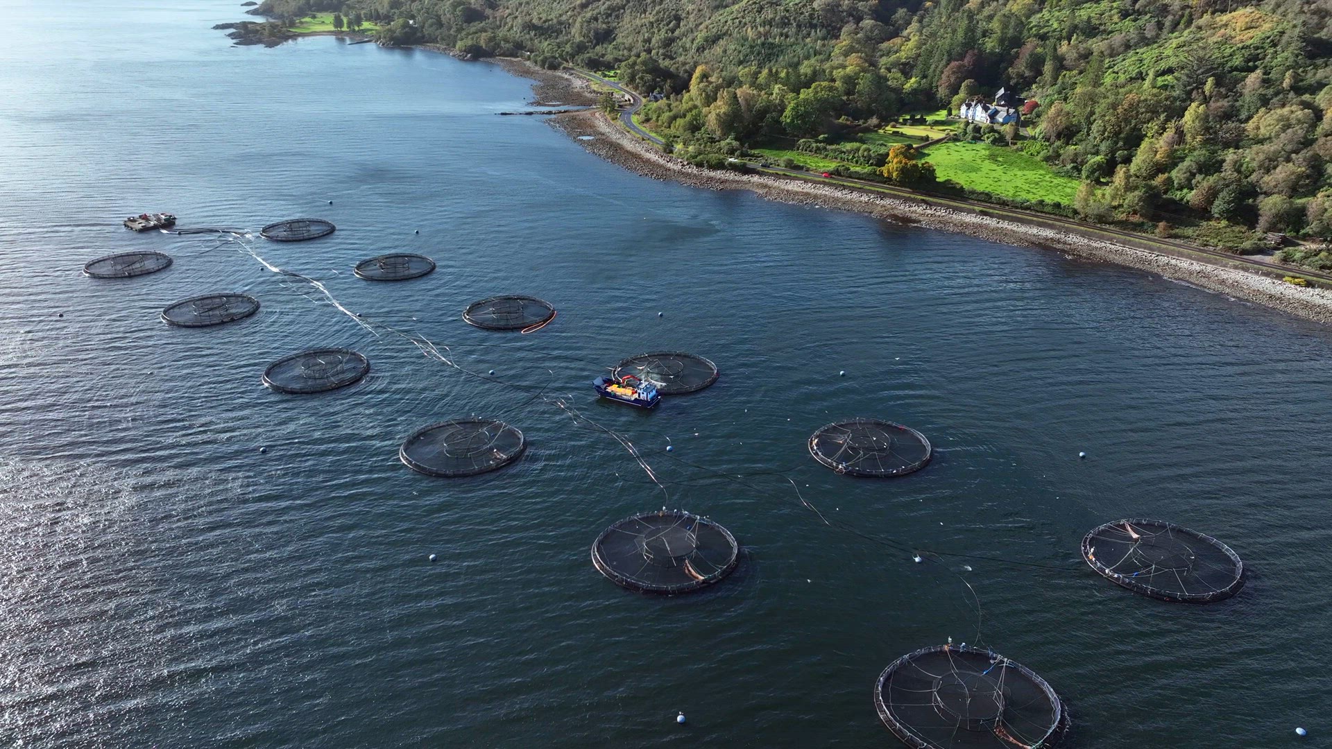Sea Farm Aquaculture Nets in the Ocean Used for Intensive Fish Farming