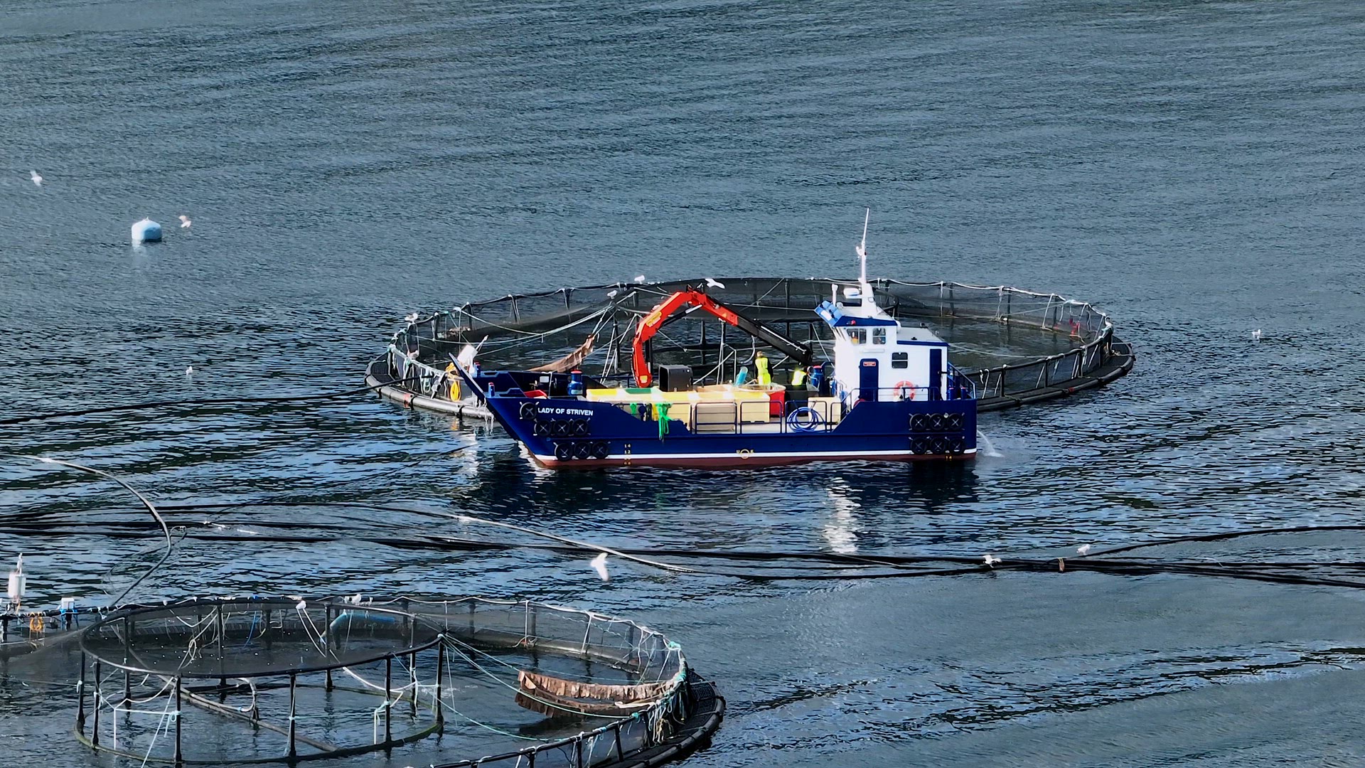 Workers on a Boat Catching Fish from an Intensive Aquaculture Sea Farm
