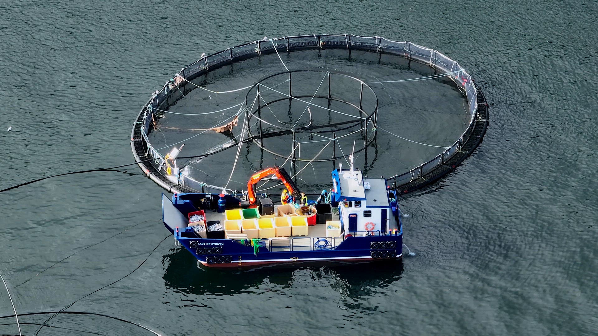 Workers on a Boat Catching Fish from an Intensive Aquaculture Sea Farm