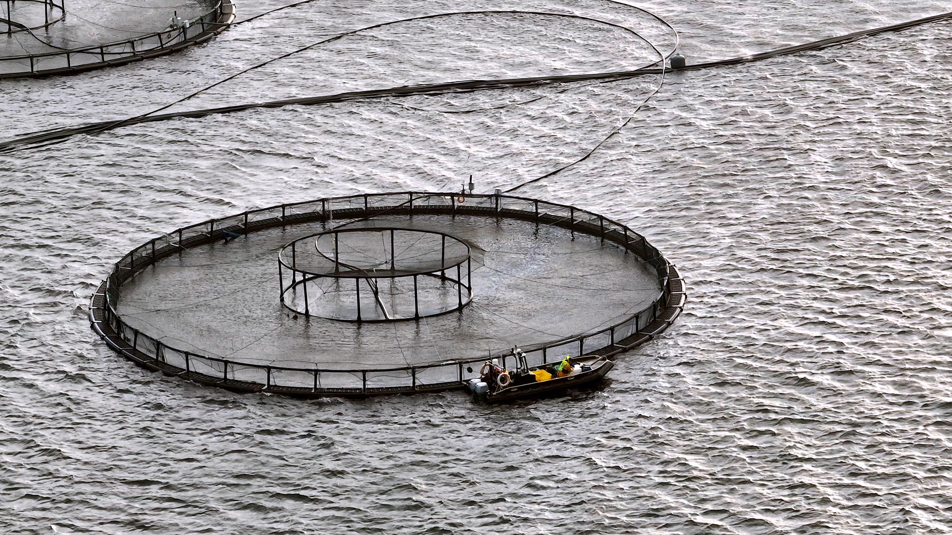 Sea Farm Aquaculture Nets in the Ocean Used for Fish Farming