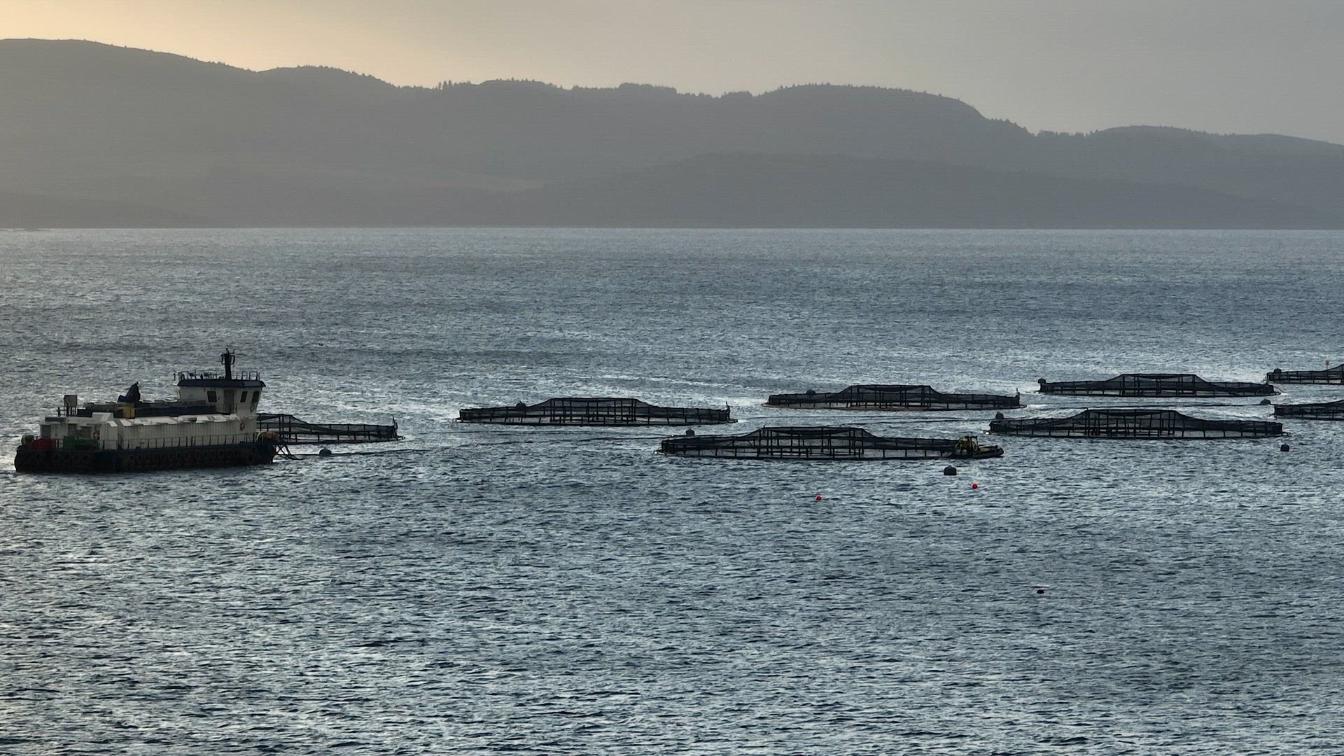 Sea Farm Aquaculture Nets in the Ocean Used for Fish Farming