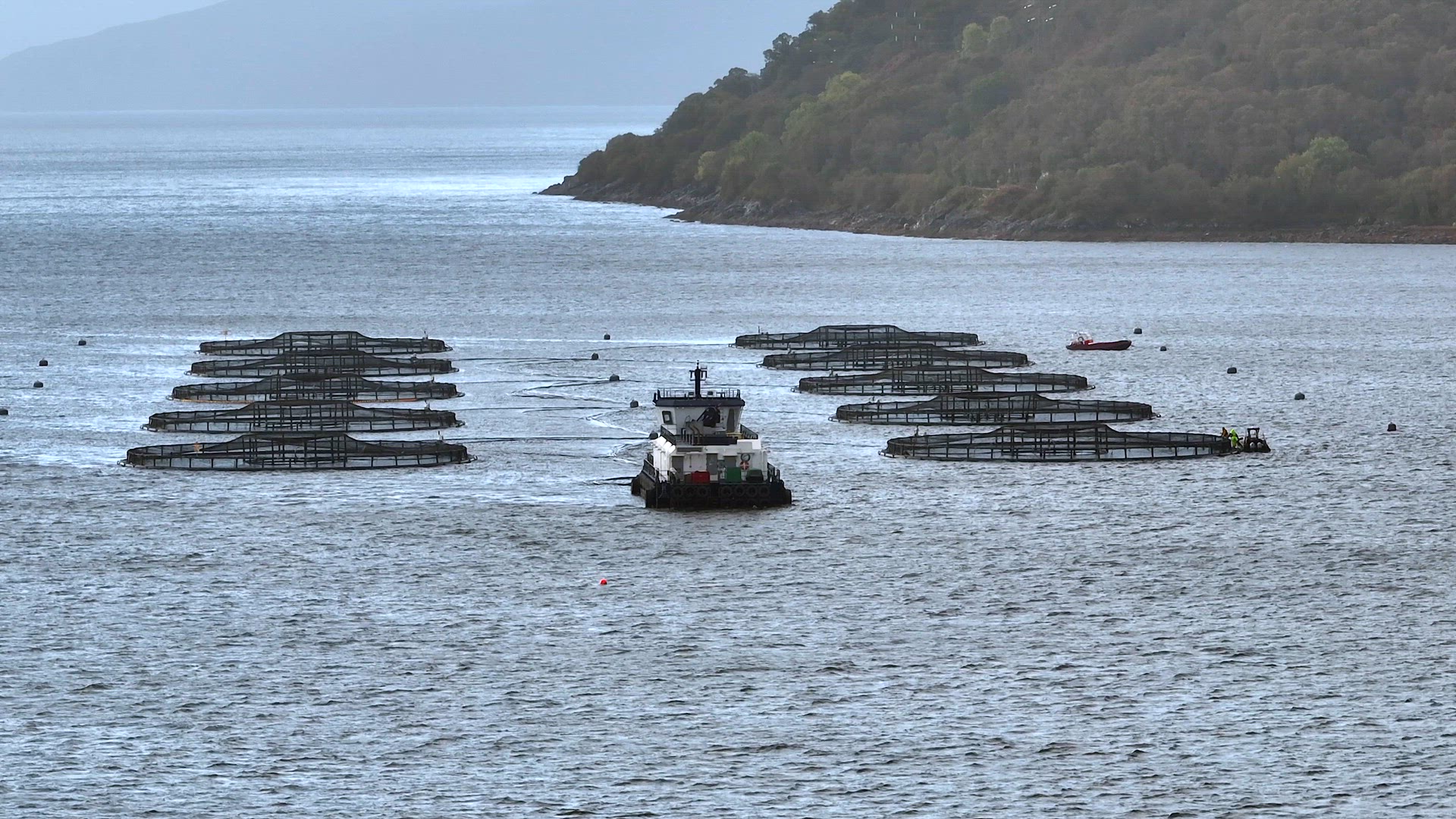 Sea Farm Aquaculture Nets in the Ocean Used for Fish Farming