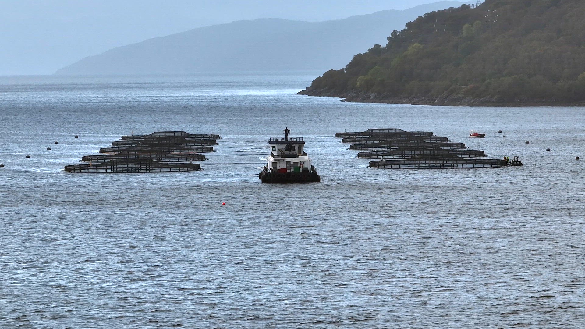 Sea Farm Aquaculture Nets in the Ocean Used for Fish Farming