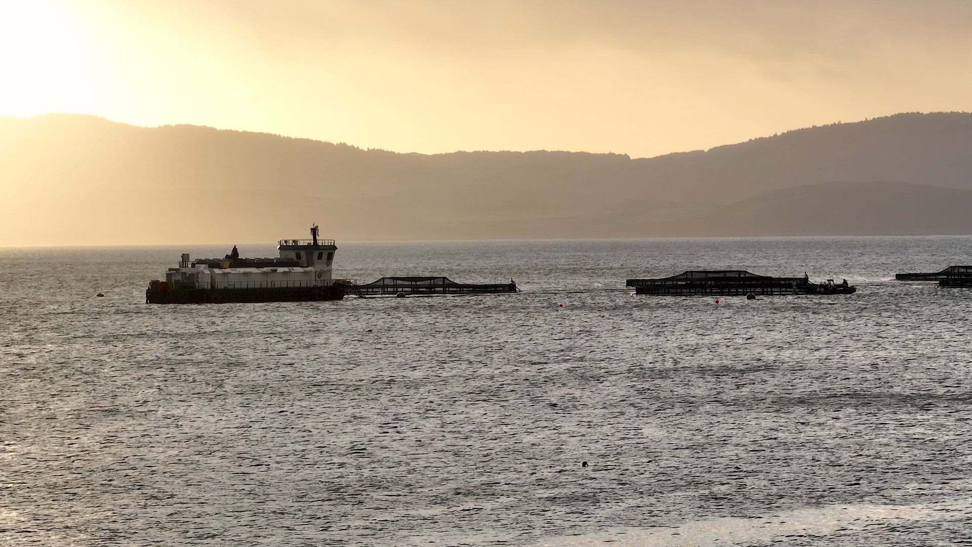 Sea Farm Aquaculture Nets in the Ocean Used for Fish Farming