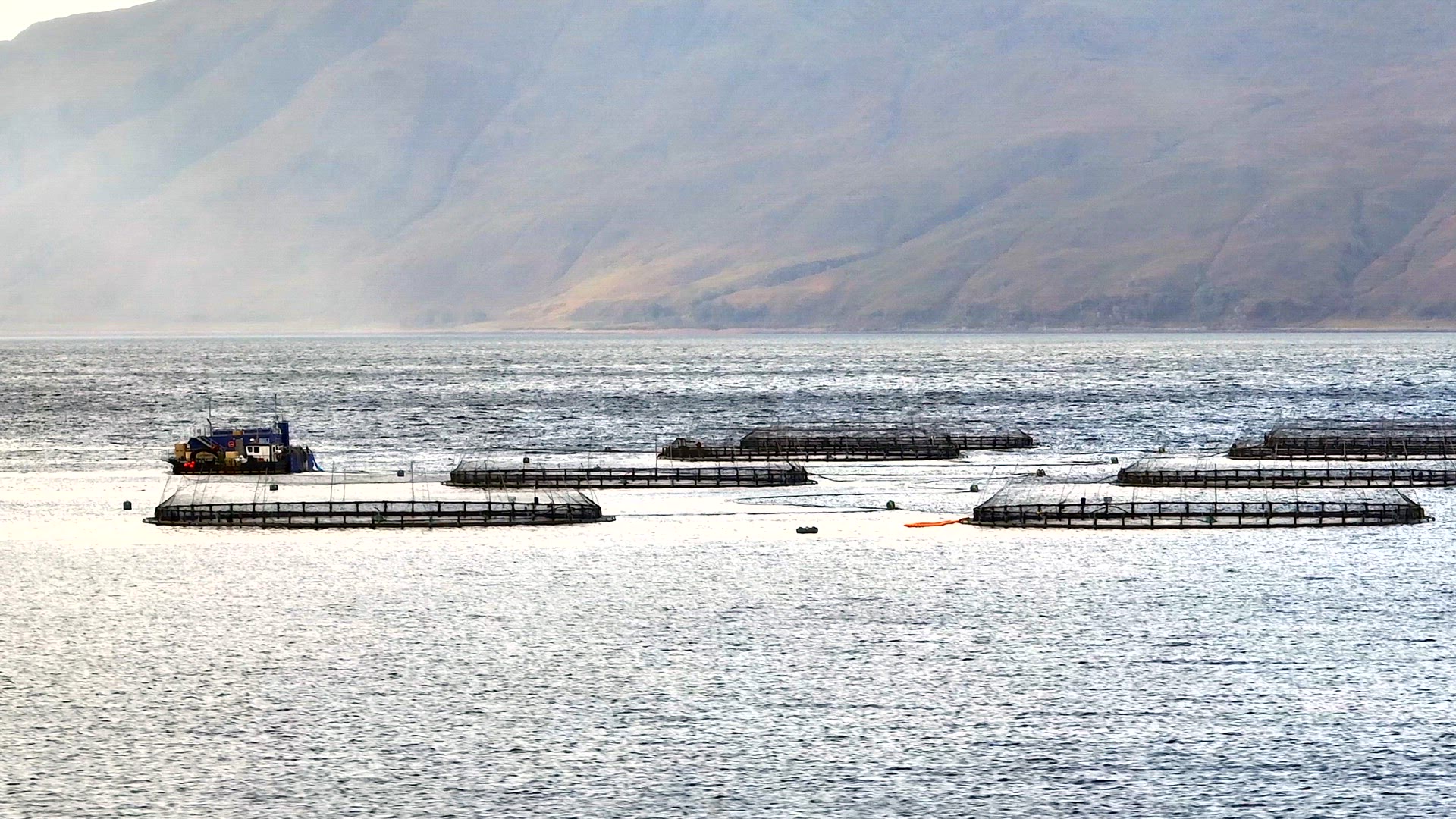 Sea Farm Aquaculture Nets in the Ocean Used for Fish Farming