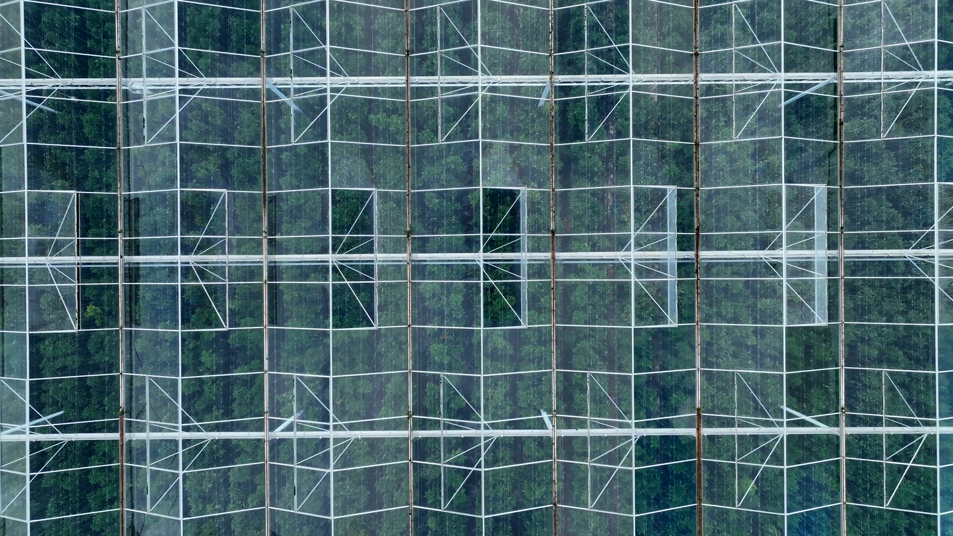 Aerial View of a Greenhouse Used to Grow Fruit and Vegetables for Supermarkets