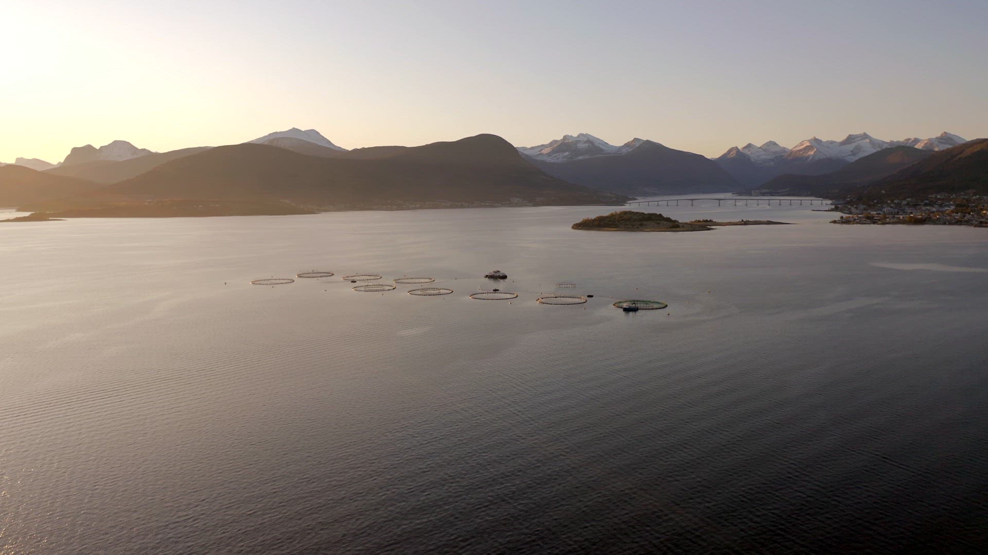 An Aquaculture Fish Farm in the Early Morning