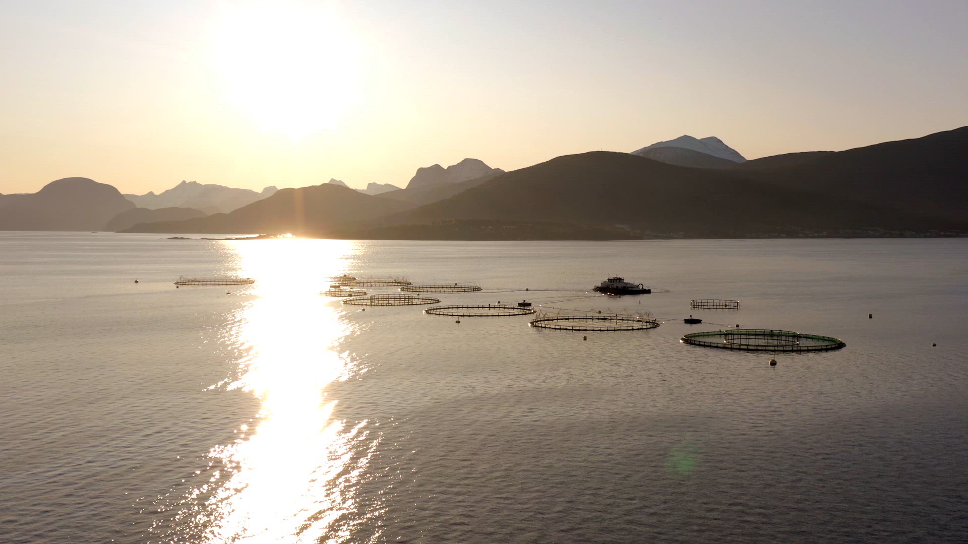 An Aquaculture Fish Farm in the Early Morning