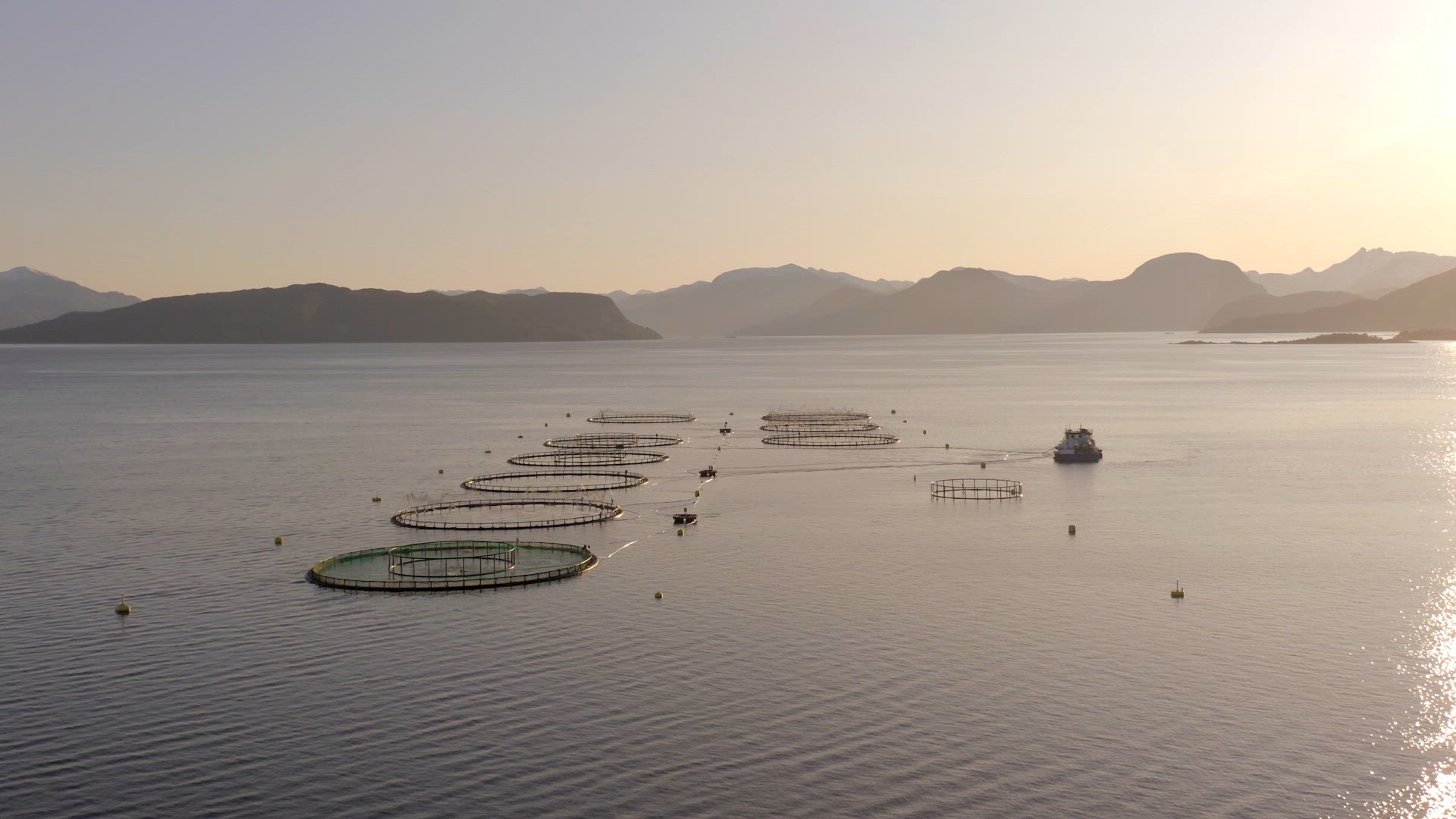 An Aquaculture Fish Farm in the Early Morning