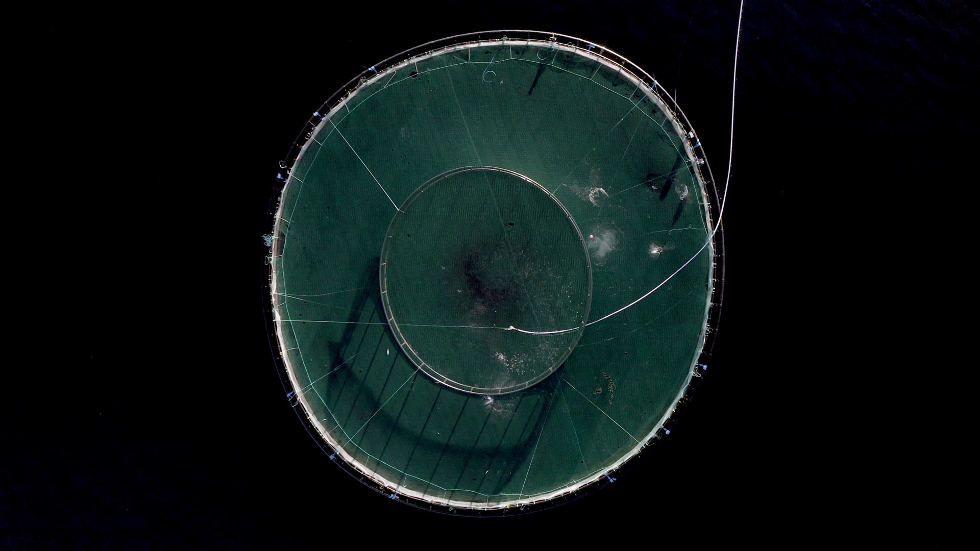 Bird's Eye View of an Aquaculture Fish Farm