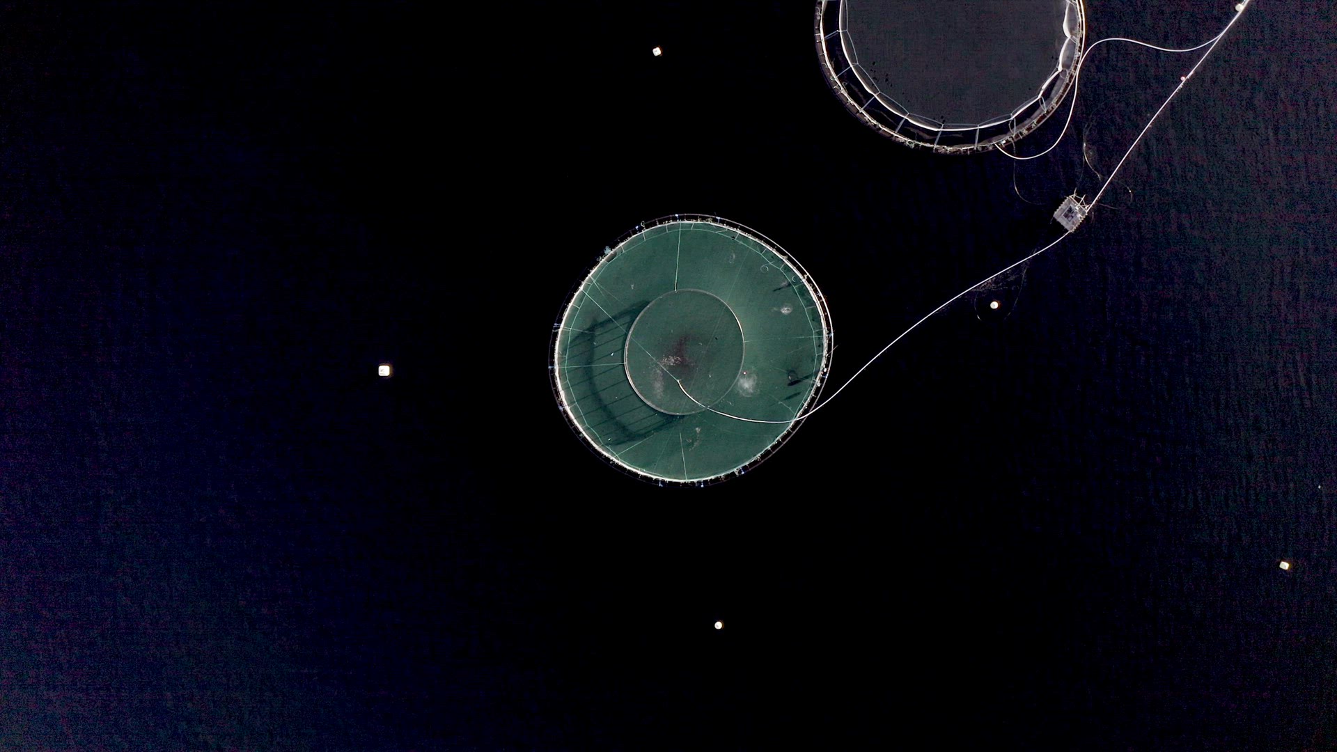 Bird's Eye View of an Aquaculture Fish Farm