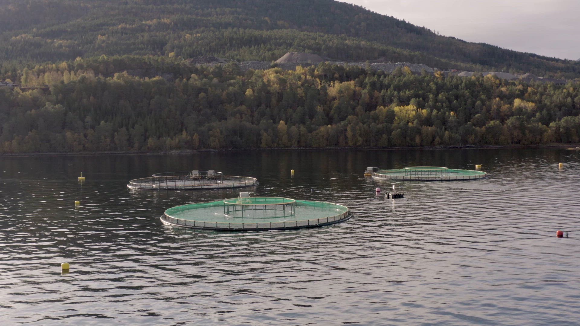 An Aquaculture Fish Farm Used to Hold Fish Stocks for Food
