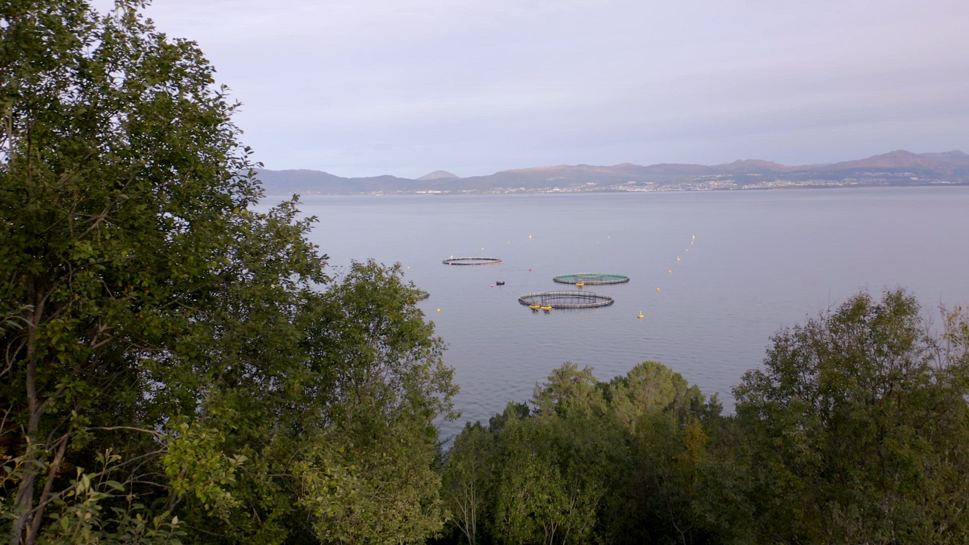 An Aquaculture Fish Farm Used to Hold Fish Stocks for Food