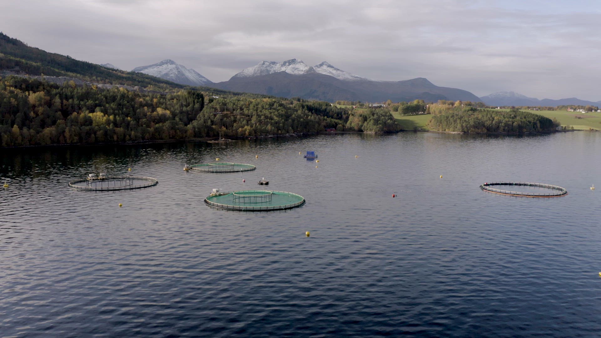An Aquaculture Fish Farm Used to Hold Fish Stocks for Food