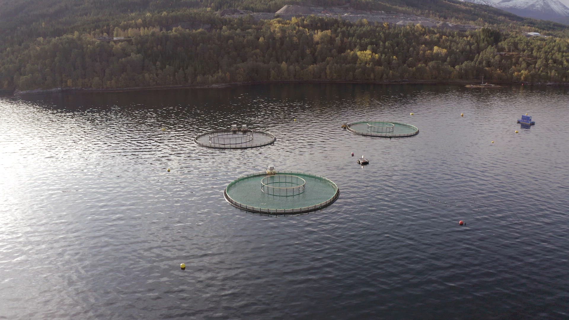 An Aquaculture Fish Farm Used to Hold Fish Stocks for Food