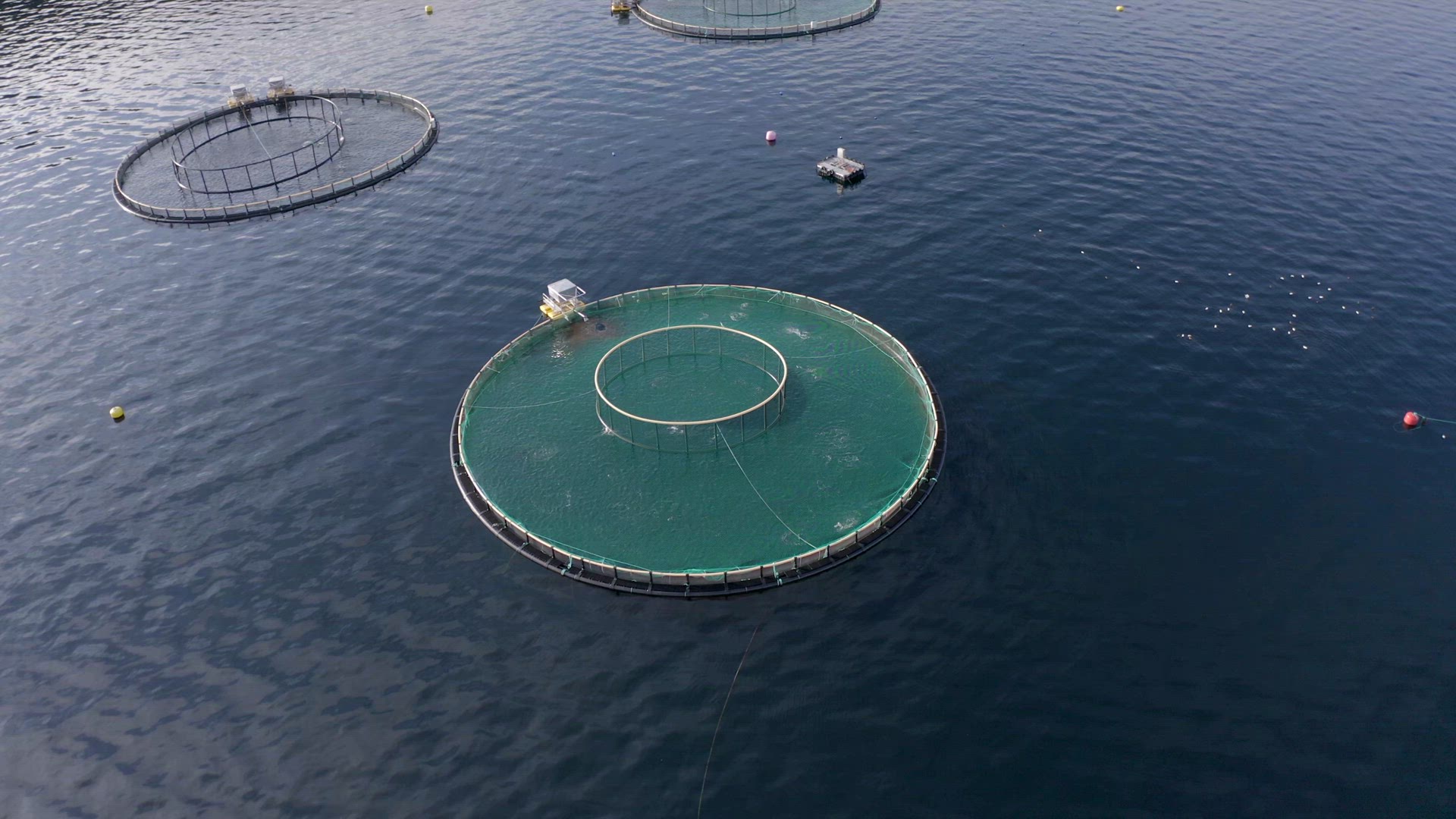 An Aquaculture Fish Farm Pen Used to Hold Fish Stocks for Food