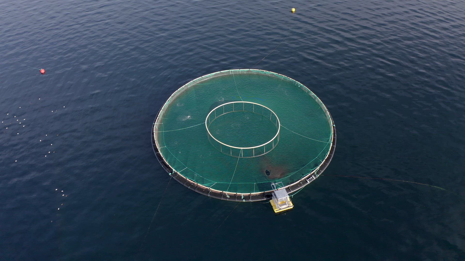 An Aquaculture Fish Farm Pen Used to Hold Fish Stocks for Food