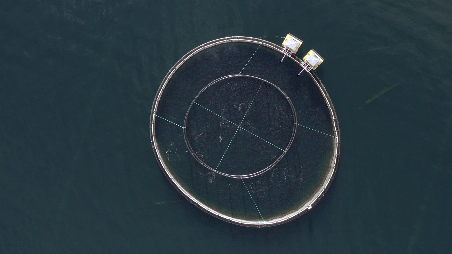 Bird's Eye View of an Aquaculture Fish Farm