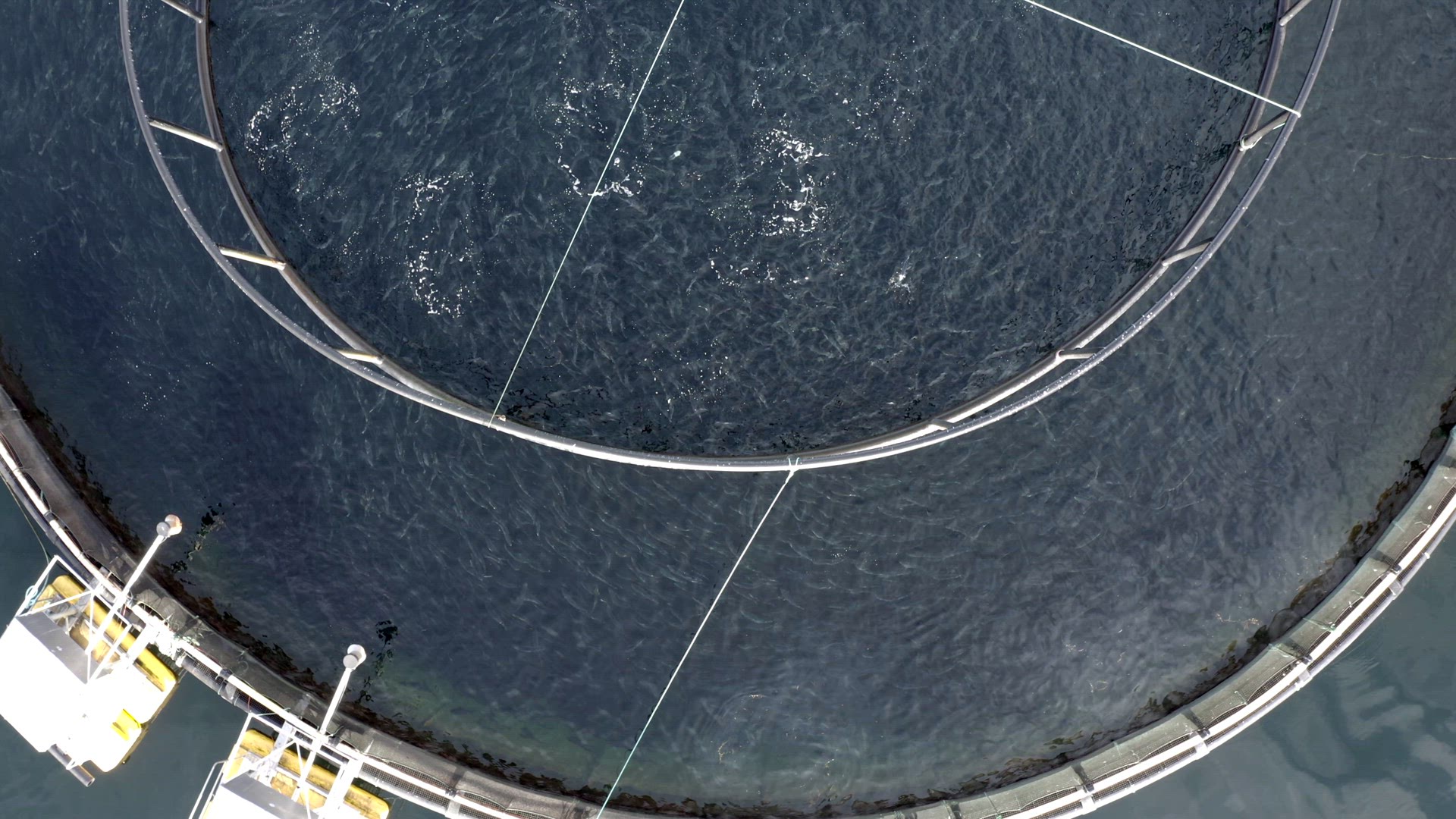 Bird's Eye View of an Cod and Pollock Aquaculture Fish Farm