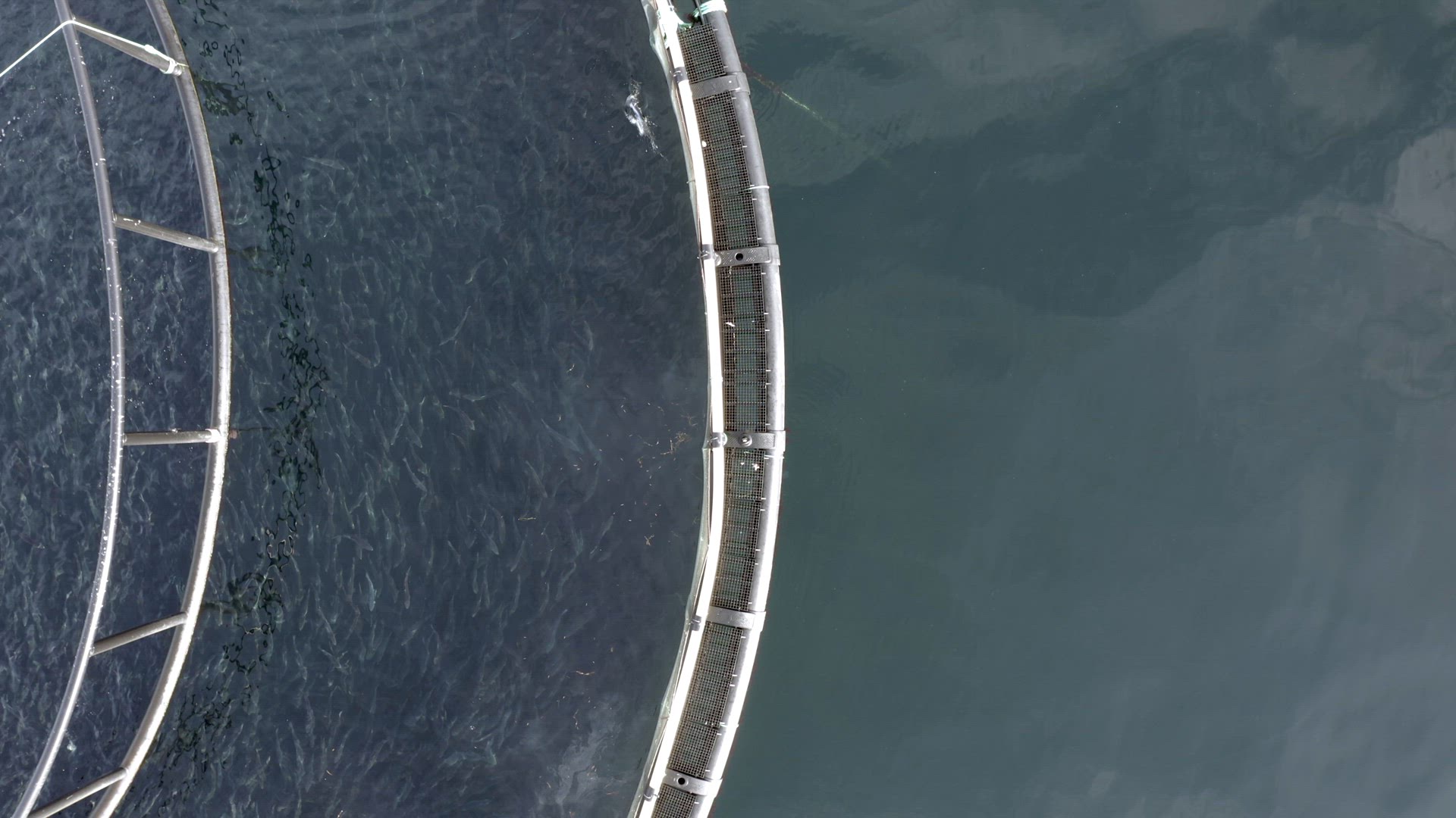 Bird's Eye View of an Aquaculture Fish Farm
