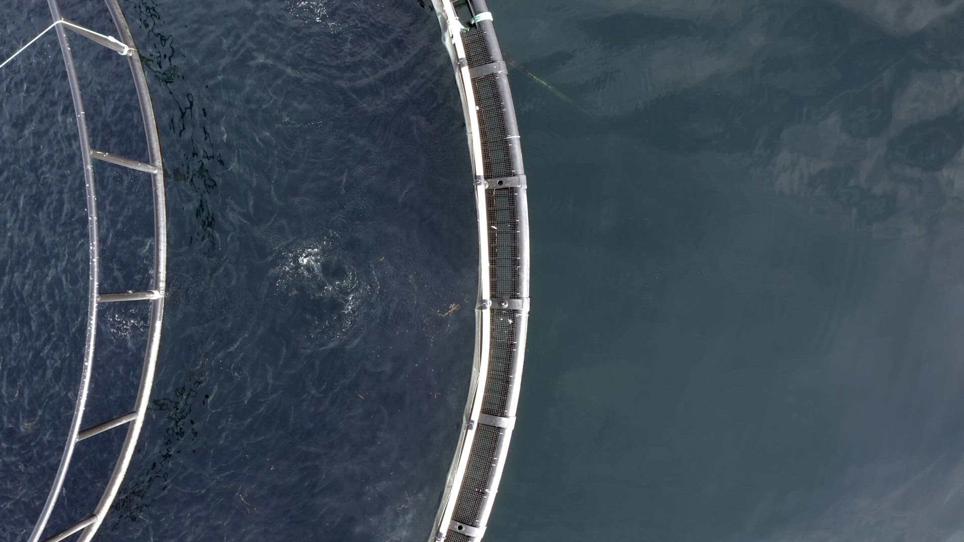 Bird's Eye View of an Aquaculture Fish Farm