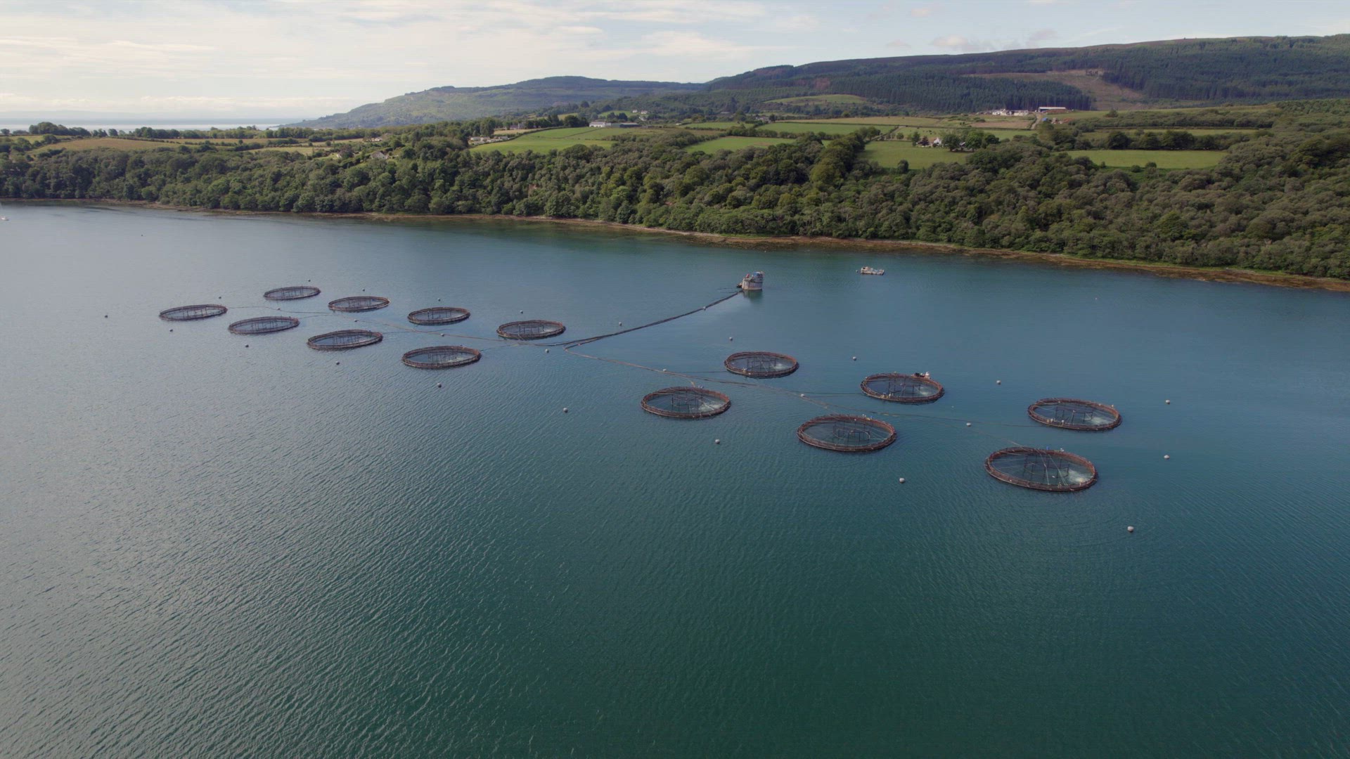 A Fish Farm in Scotland Providing Mariculture for Food Markets