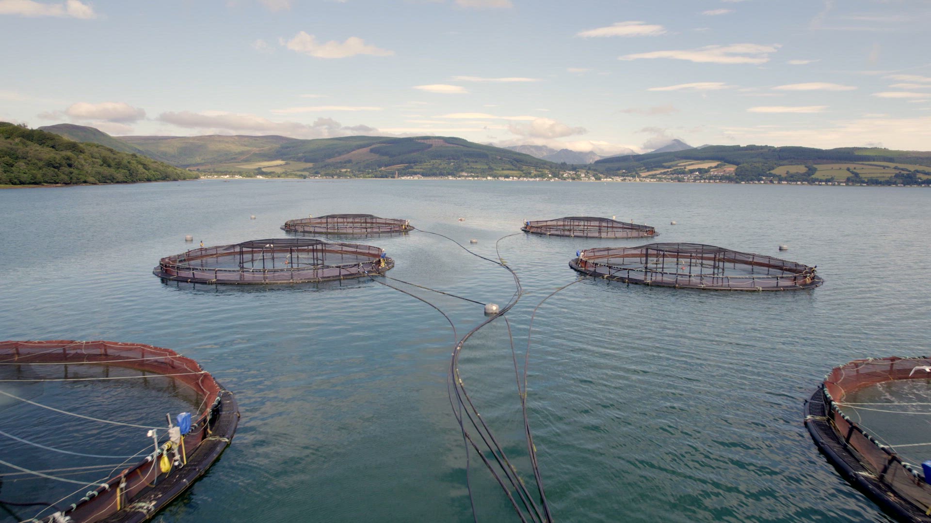 A Salmon Fish Farm in Scotland Providing Aquaculture for Food Markets