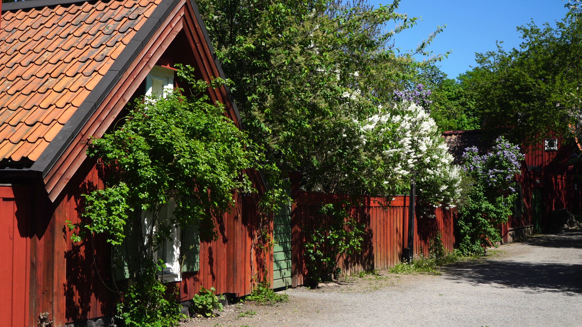 Stigbergsgatan Stockholm - red houses - lilac.mp4