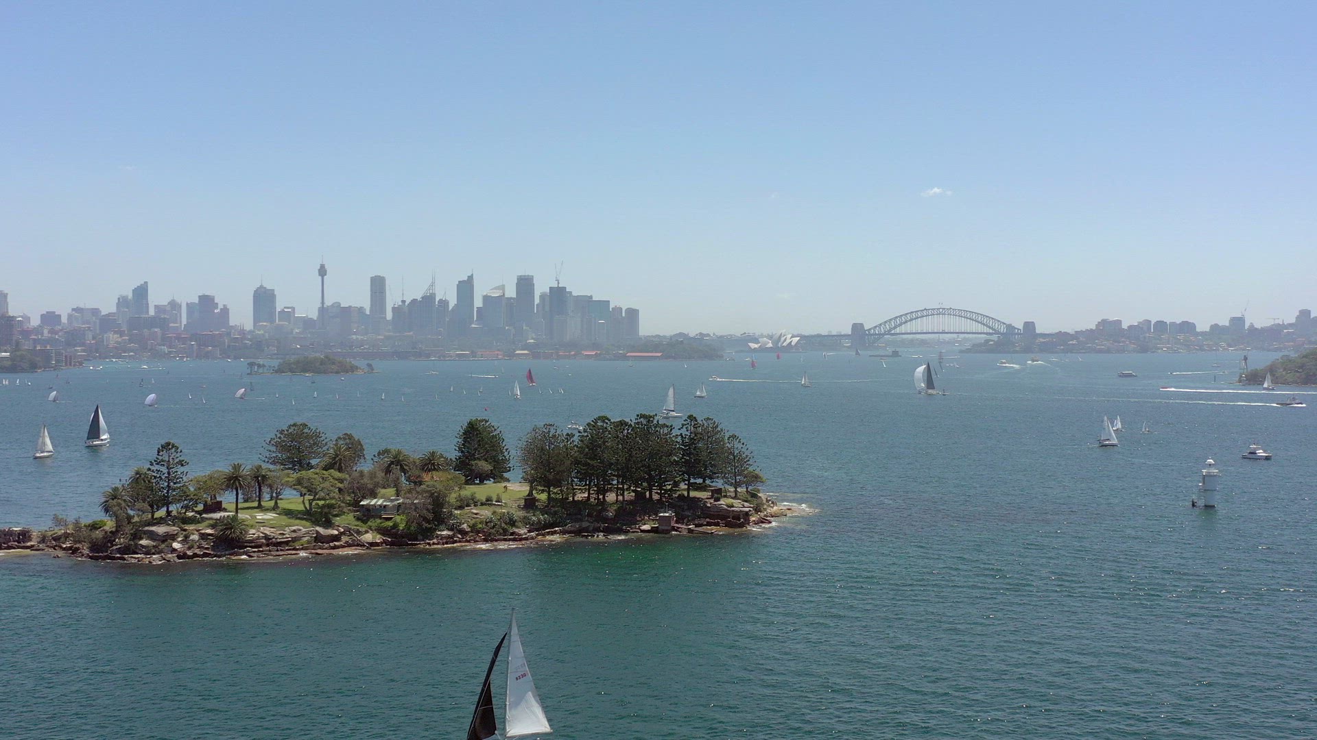 Yachts and Boats in Sydney Harbor in the Summer Flying over Shark Island