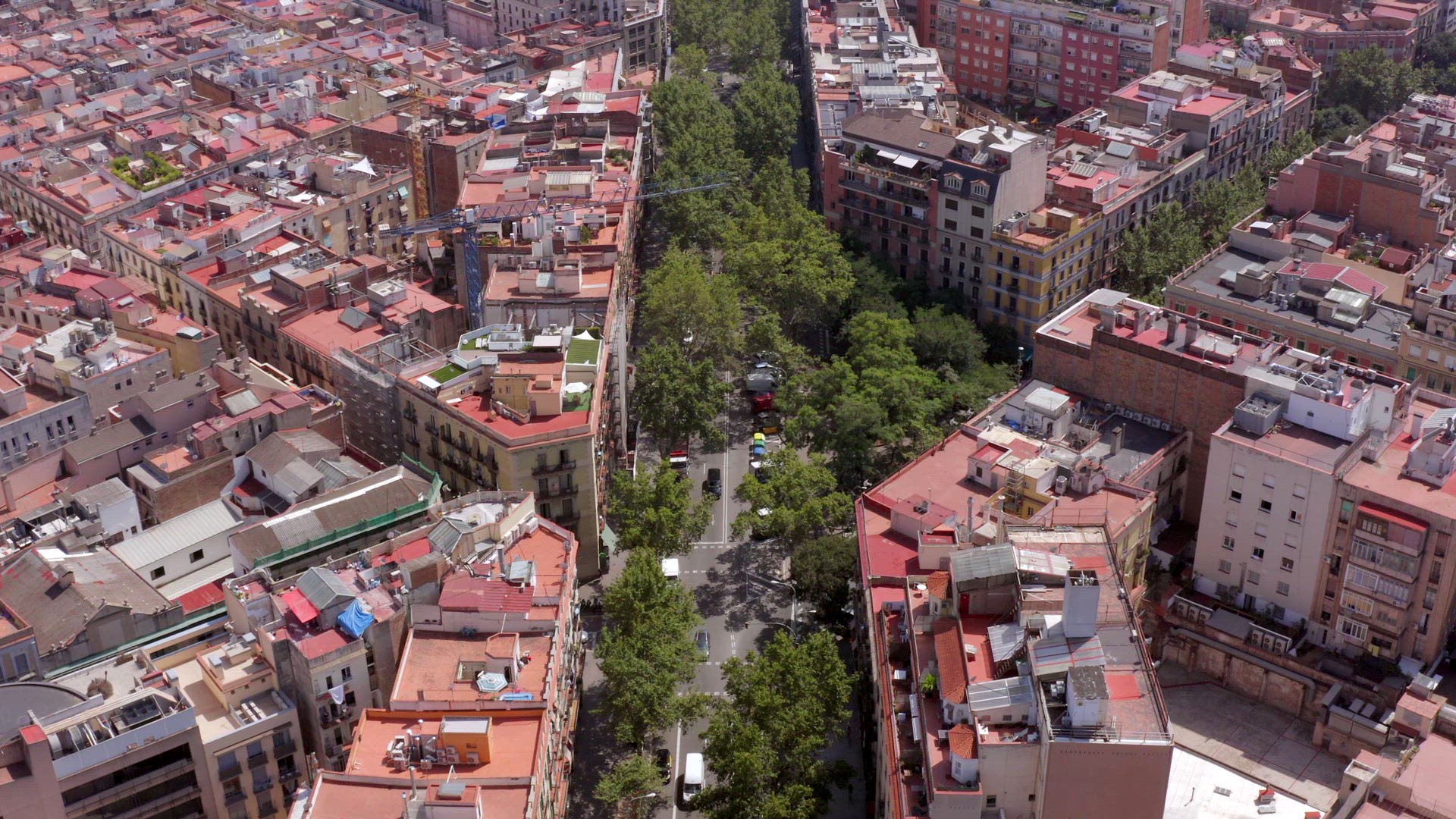 Grand Via in Barcelona a Treelined Street in the Bustling Gothic City